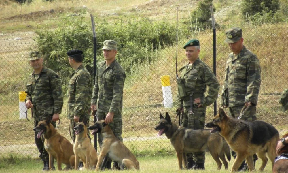 Ένοπλες Δυνάμεις: Καλούνται για «κατάταξη» 193 στρατιωτικοί σκύλοι